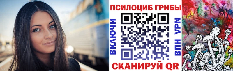 Псилоцибиновые грибы Cubensis  Купить  Дудинка 