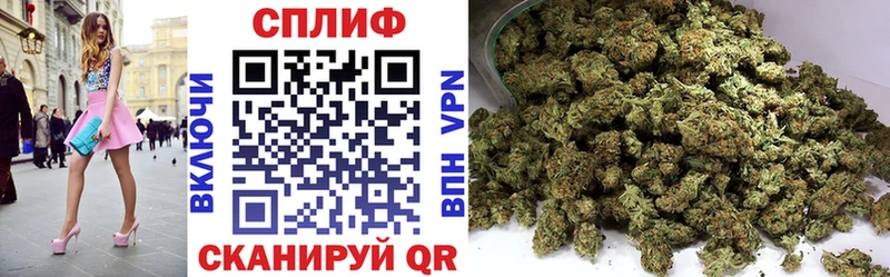 Купить  Дудинка  Бошки марихуана индика 
